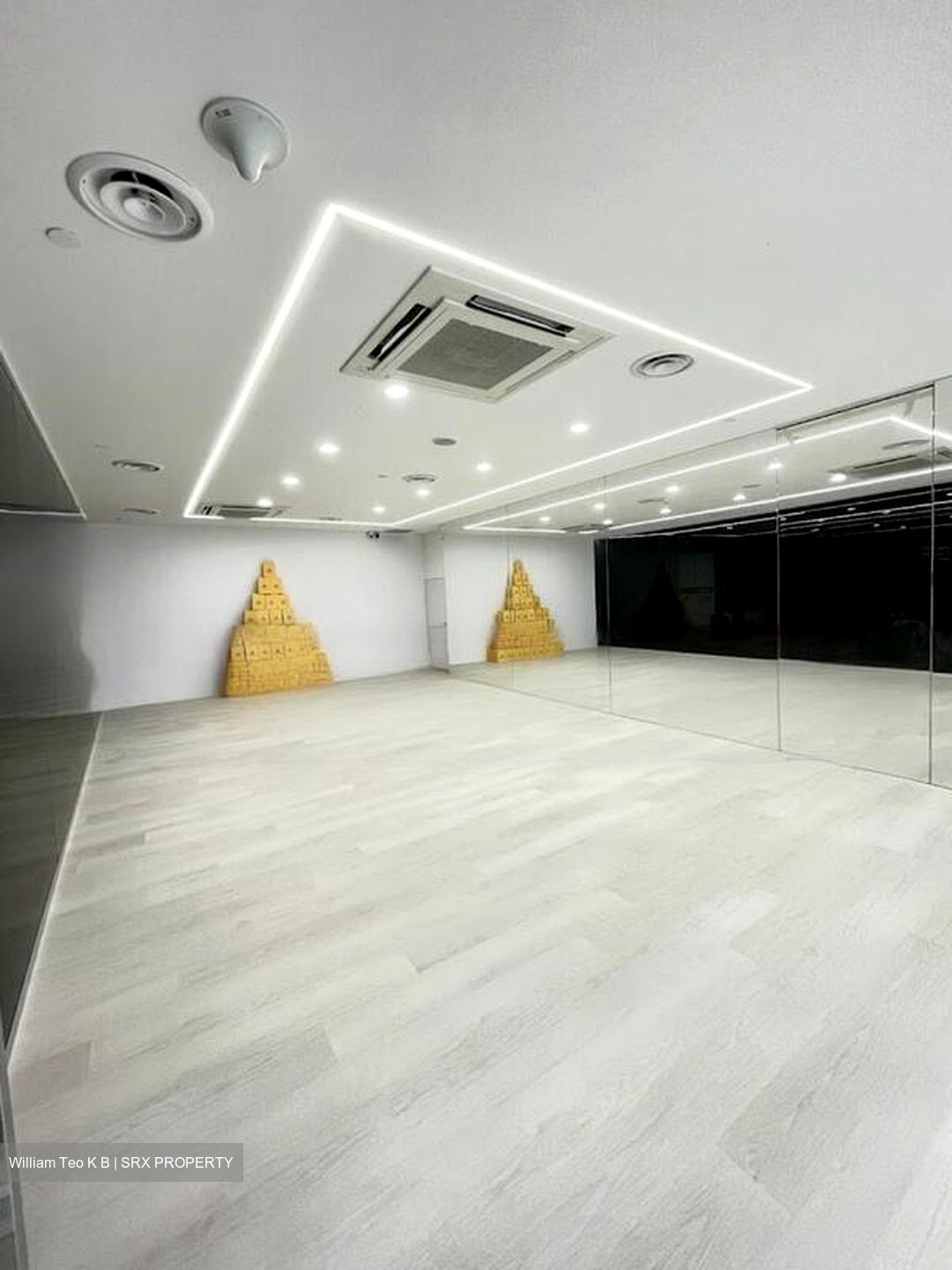 Cecil Street (D1), Retail #451146051